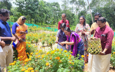 ഒരു പൂക്കള മുറ്റം ഒരു മുറം പച്ചക്കറി