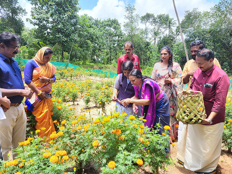 ഒരു പൂക്കള മുറ്റം ഒരു മുറം പച്ചക്കറി